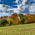 Herbststimmung