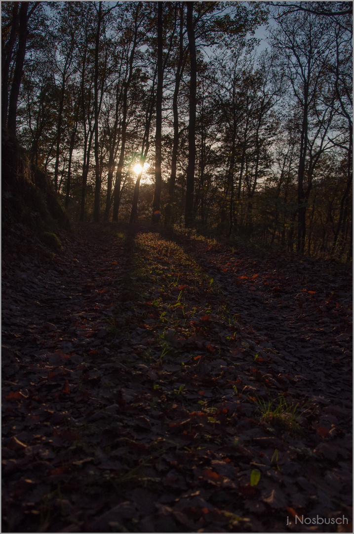 Herbststimmung