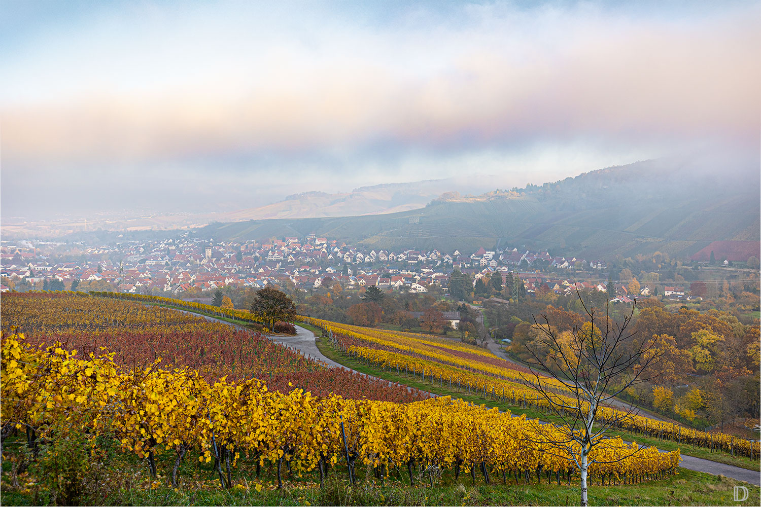 Herbststimmung