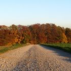 Herbststimmung