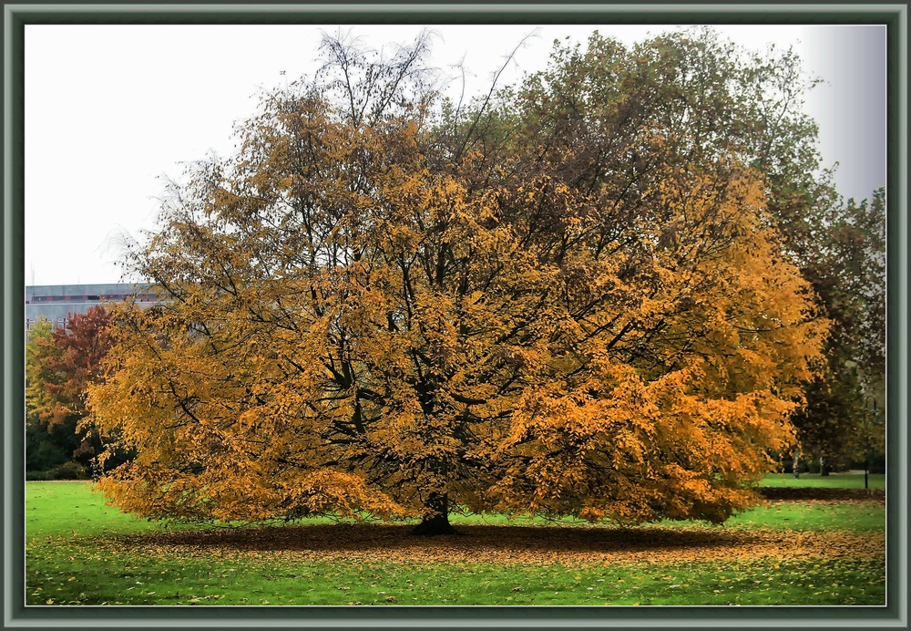 Herbststimmung