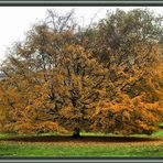 Herbststimmung