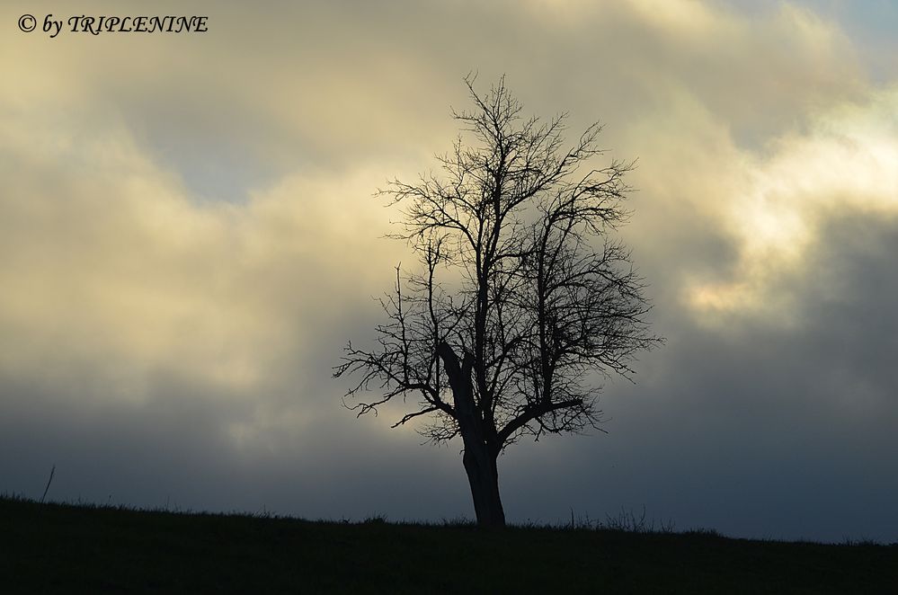 Herbststimmung