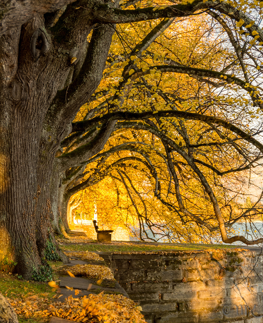 Herbststimmung