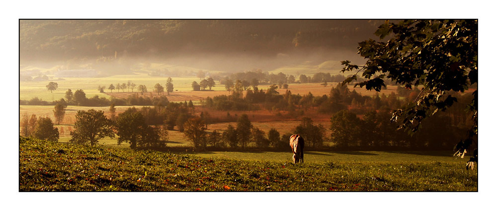 Herbststimmung