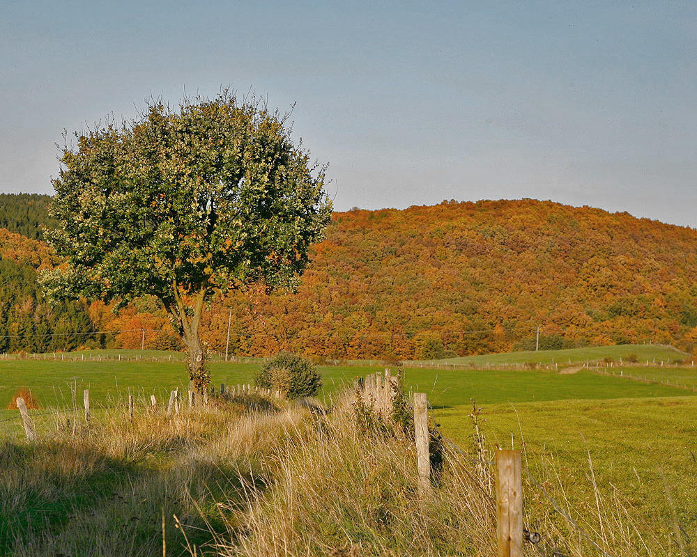 Herbststimmung