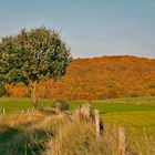 Herbststimmung