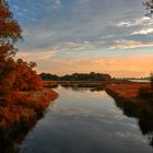 Herbststimmung