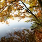 Herbststimmung "early bird"