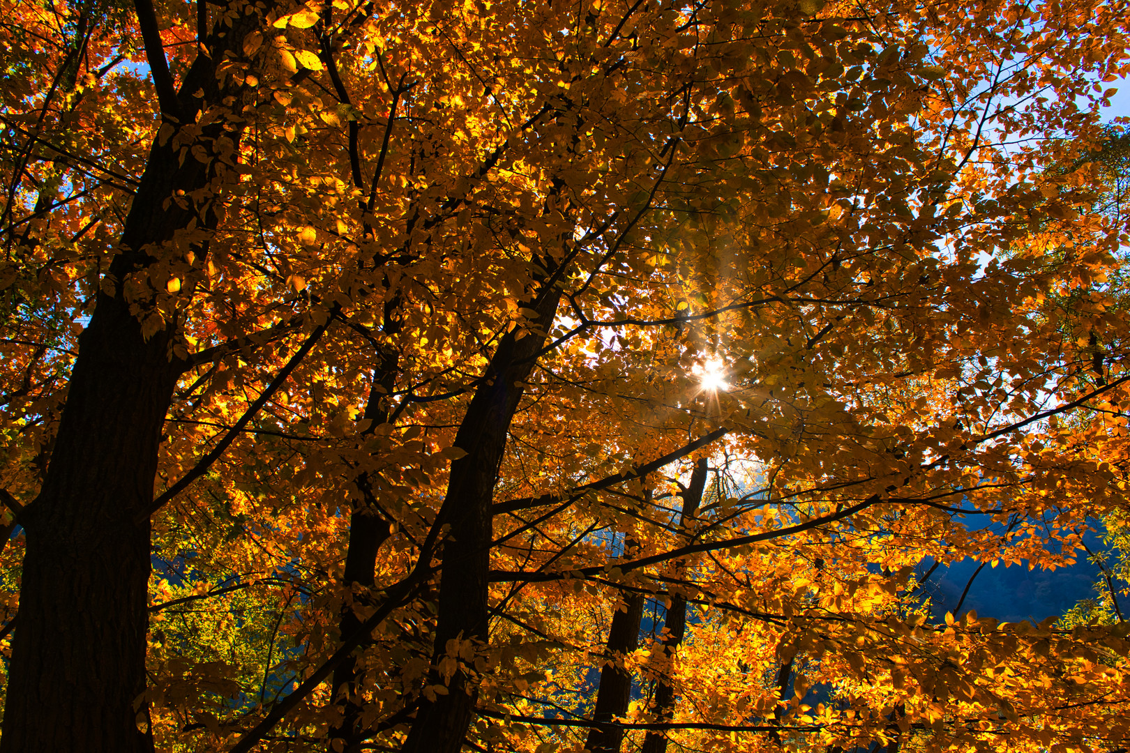 Herbststimmung