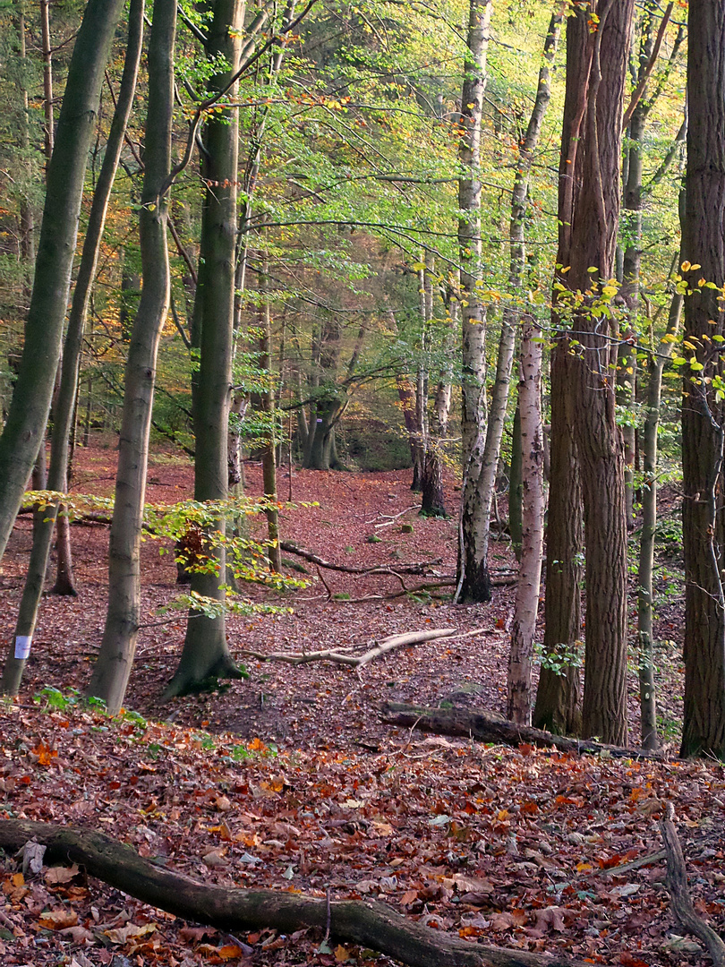 Herbststimmung