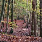 Herbststimmung