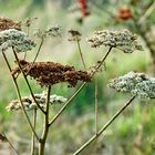 Herbststimmung