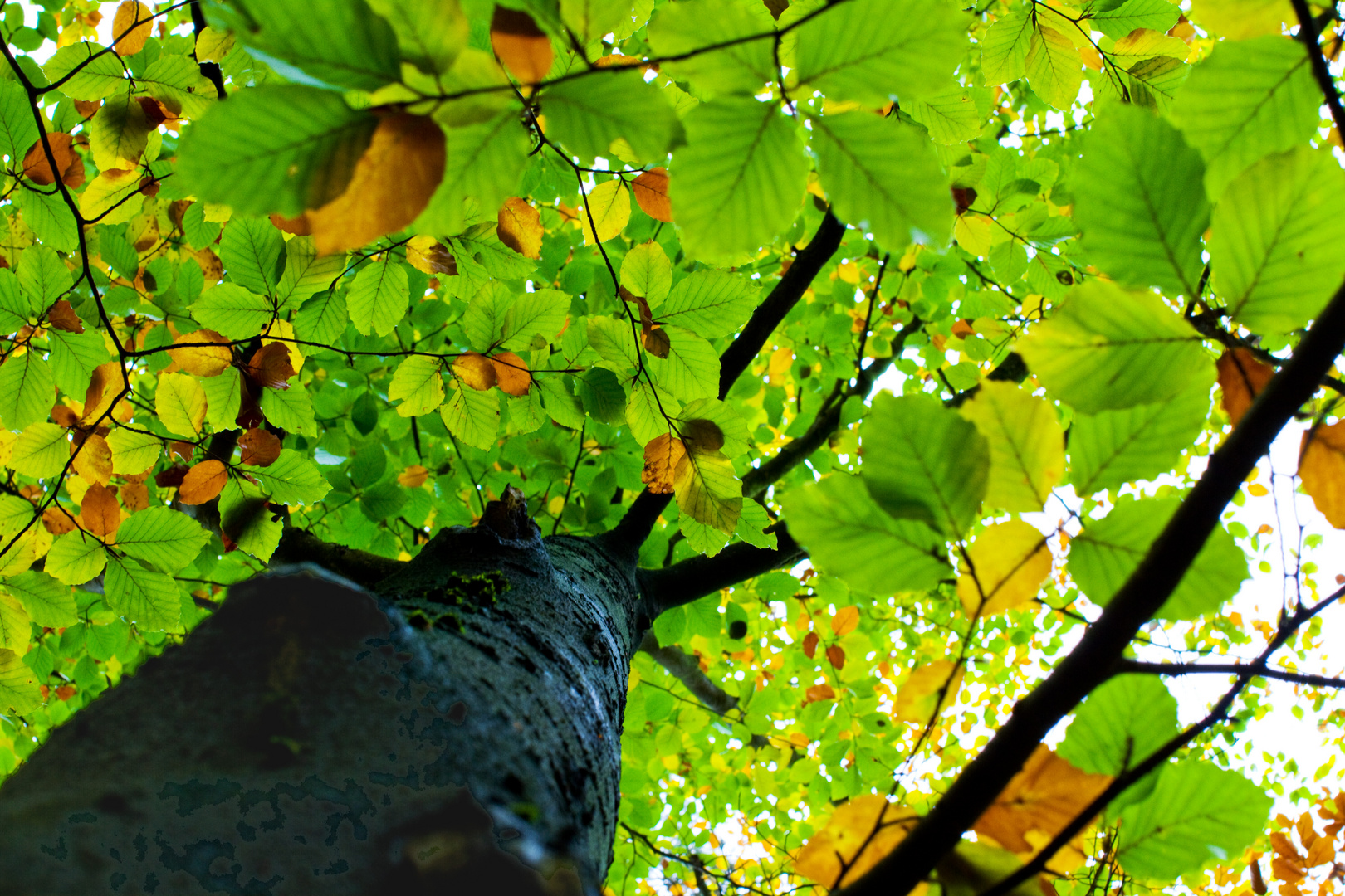 Herbststimmung