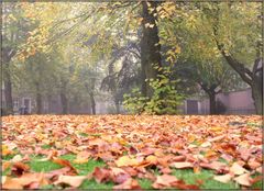 Herbststimmung