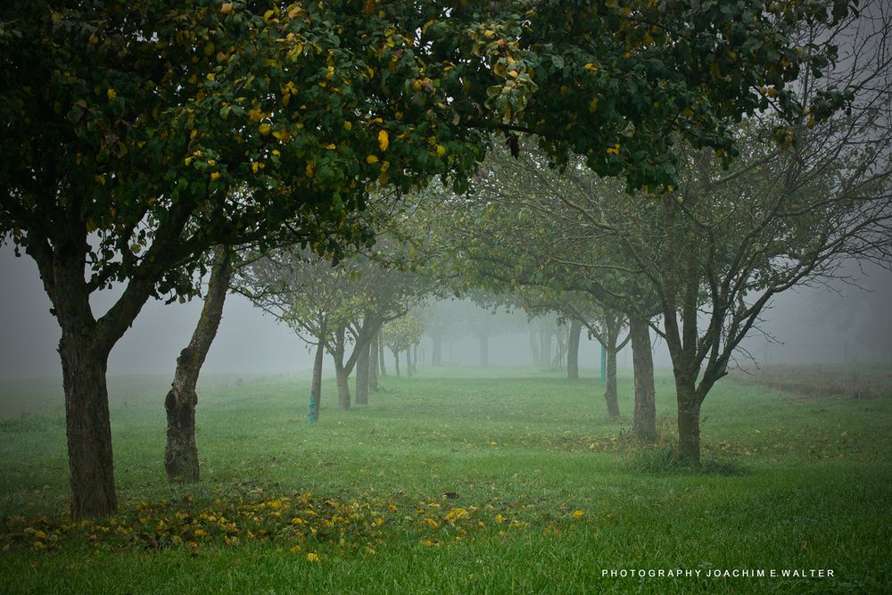 Herbststimmung