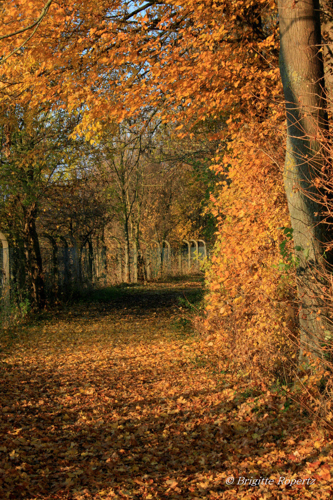 Herbststimmung entlang der Erft I