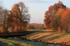 Herbststimmung entlang der Erft II