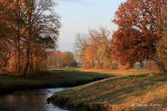 Herbststimmung entlang der Erft II