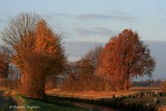 Herbststimmung entlang der Erft V