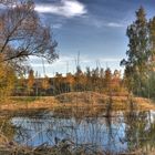 Herbststimmung Erdekaut Hettenleidelheim