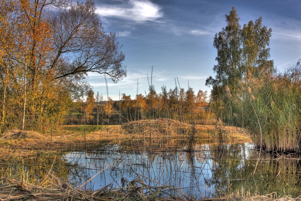 Herbststimmung Erdekaut Hettenleidelheim