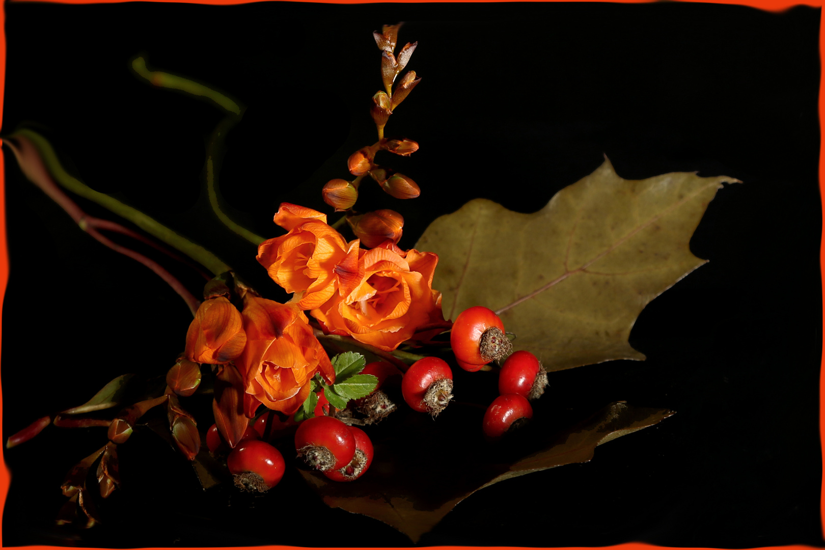 Herbststimmung es leuchtet