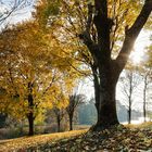 Herbststimmung 