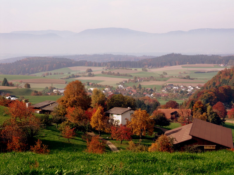 Herbststimmung