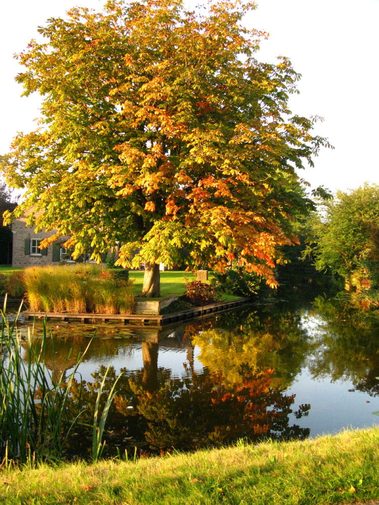 Herbststimmung