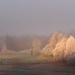 Herbststimmung