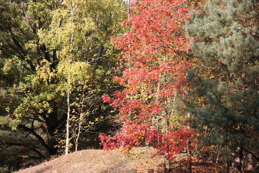 Herbststimmung