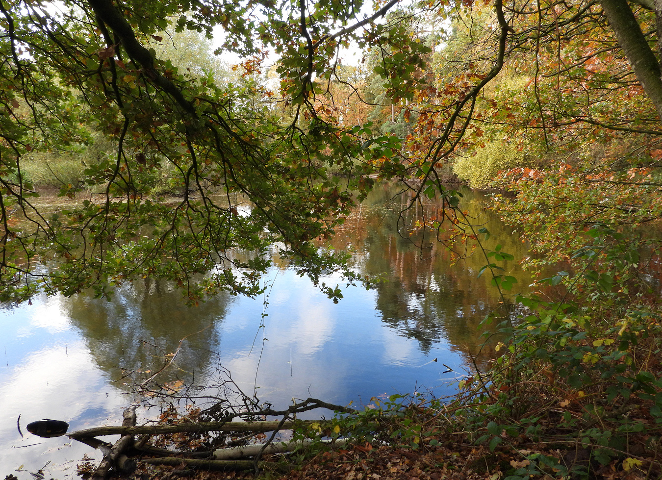 Herbststimmung