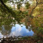 Herbststimmung