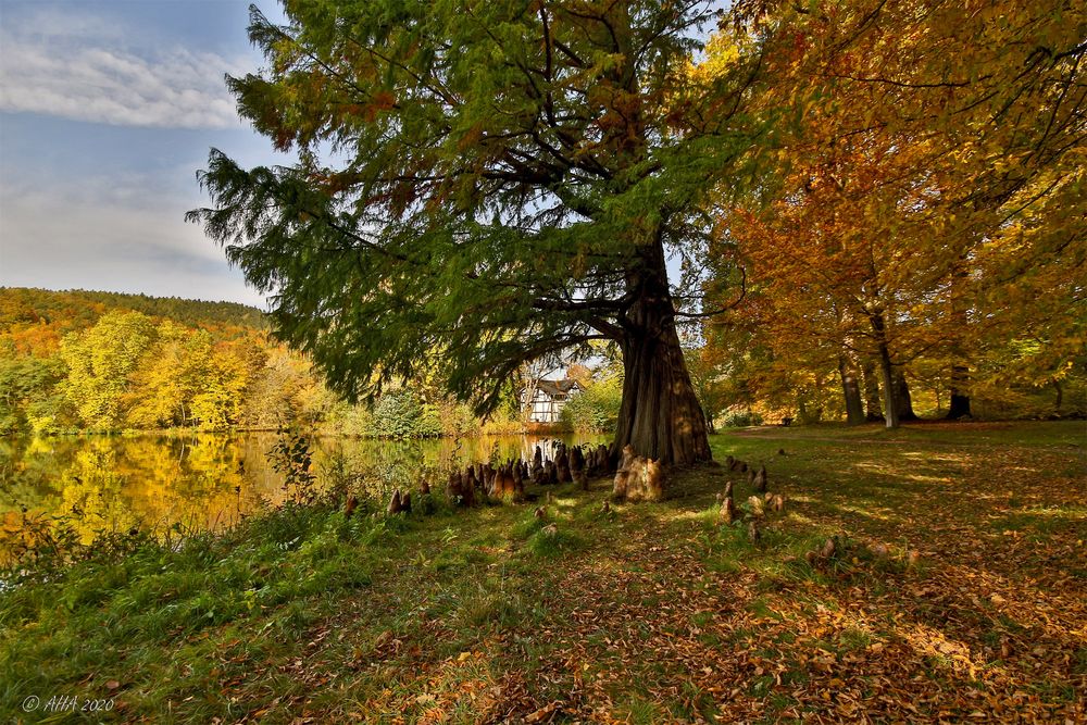 Herbststimmung