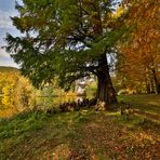 Herbststimmung