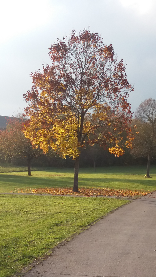 Herbststimmung