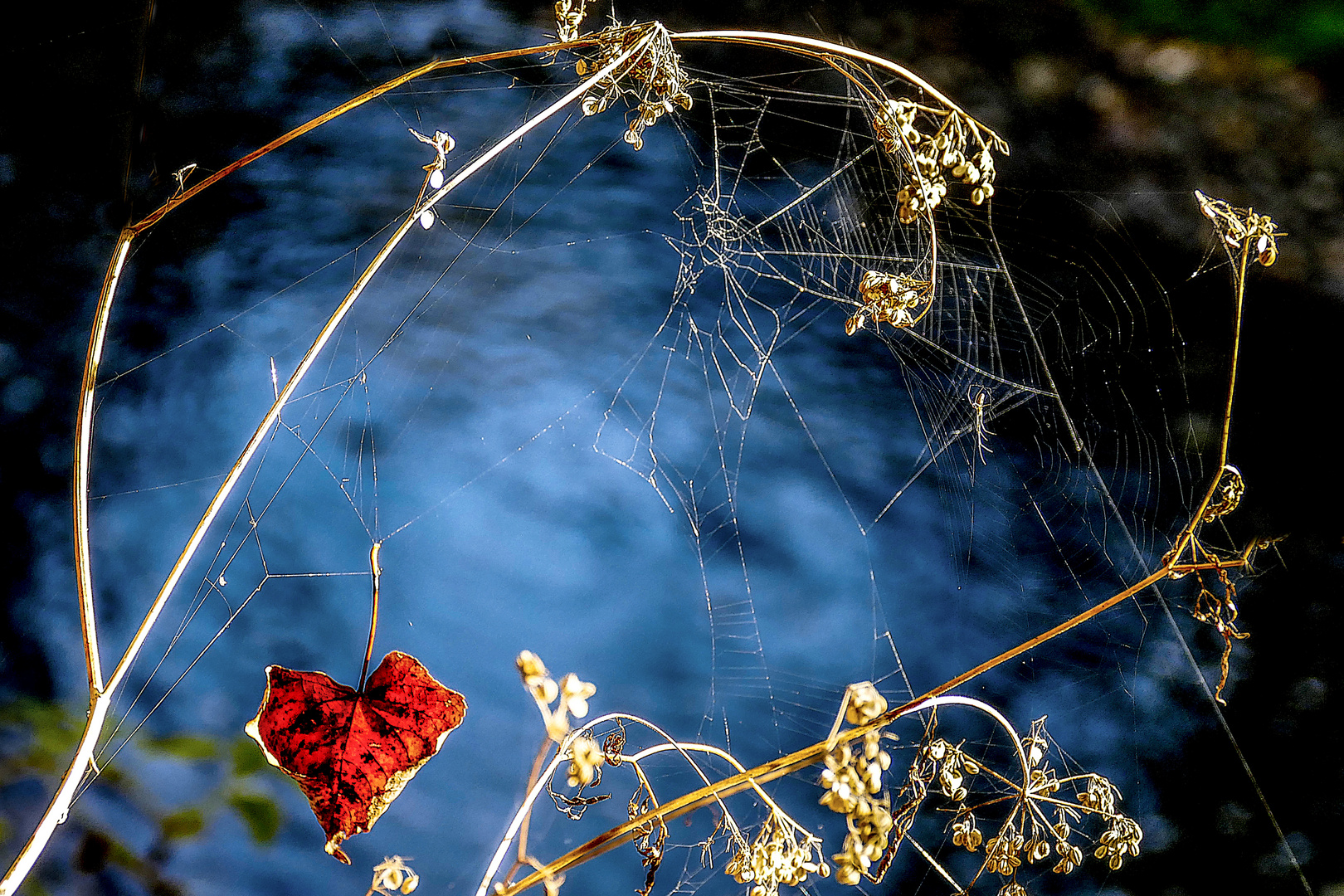 Herbststimmung