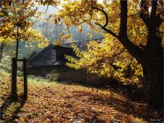 Herbststimmung