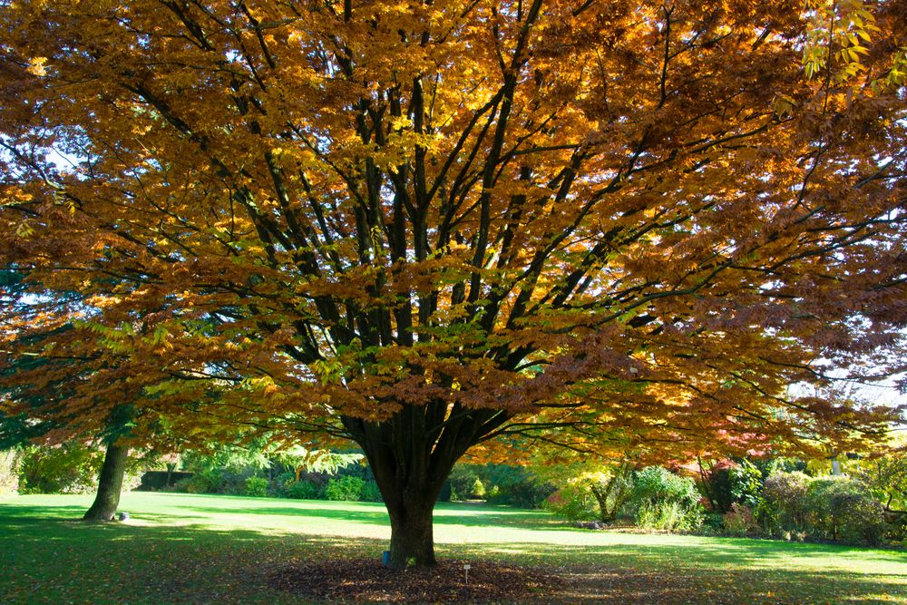 Herbststimmung