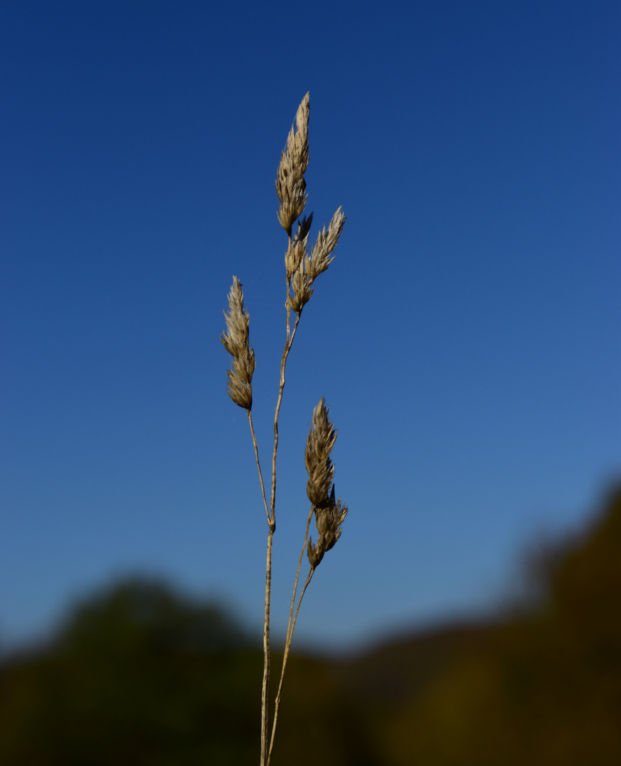 Herbststimmung