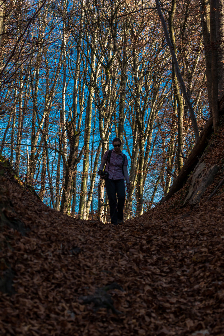 Herbststimmung