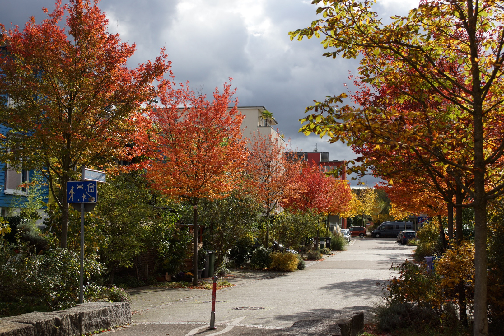 Herbststimmung