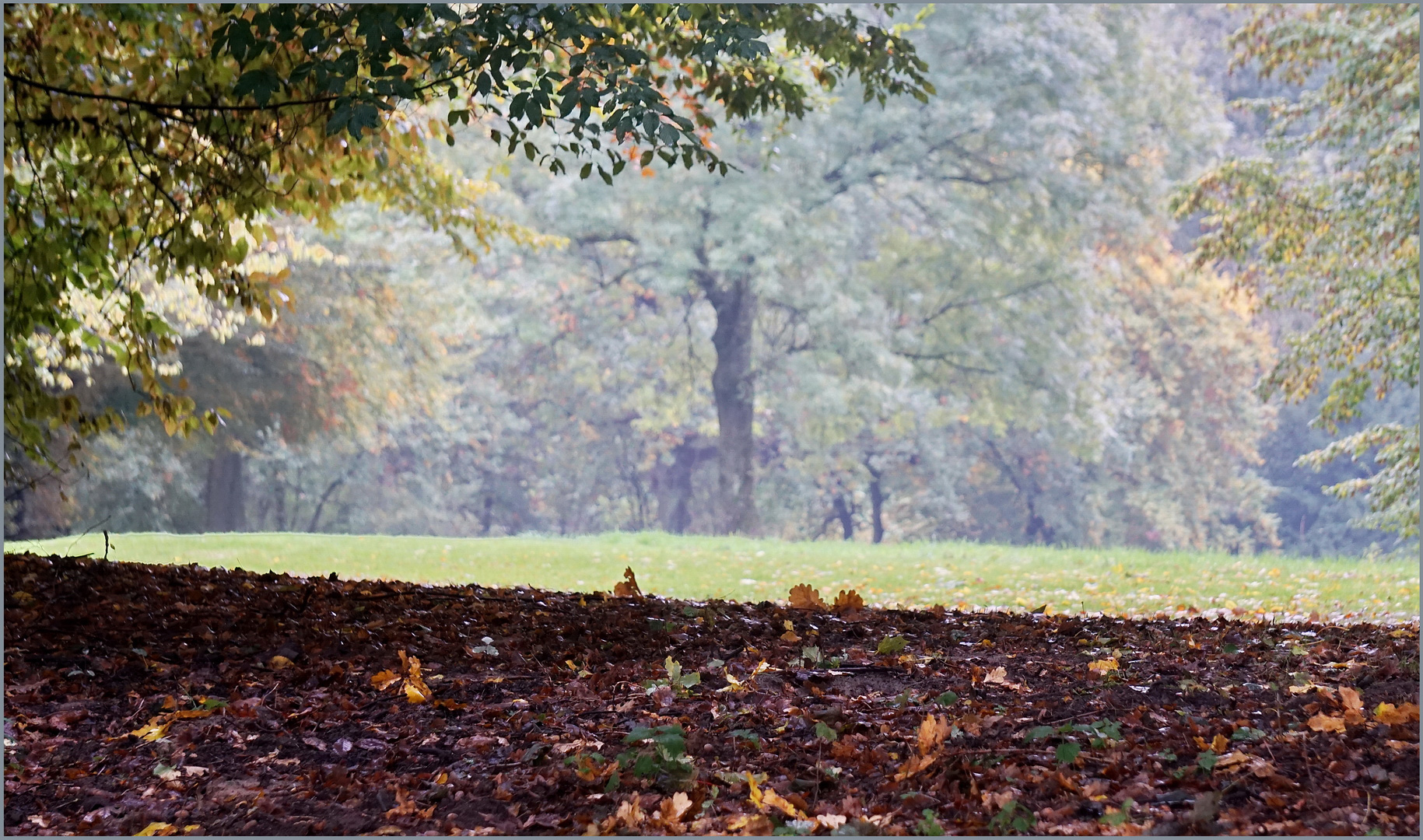 Herbststimmung