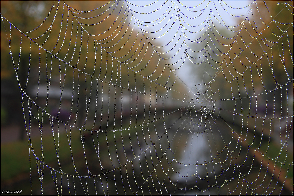 Herbststimmung