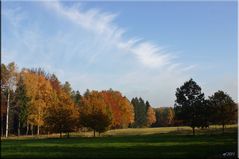 HERBSTSTIMMUNG