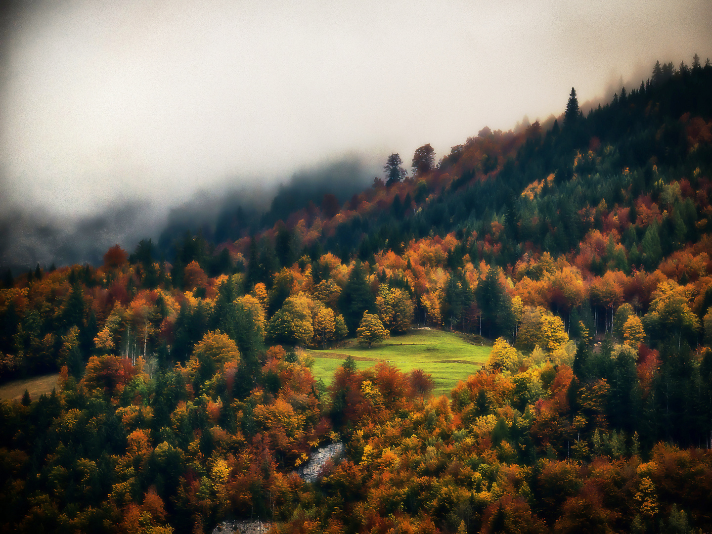 Herbststimmung