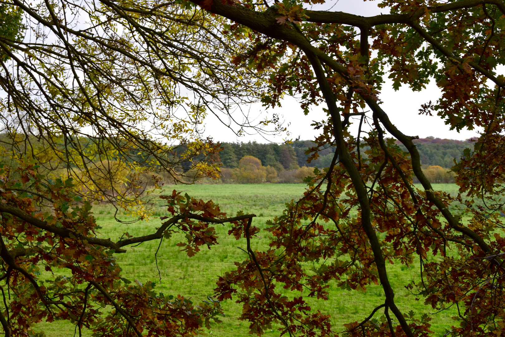 Herbststimmung