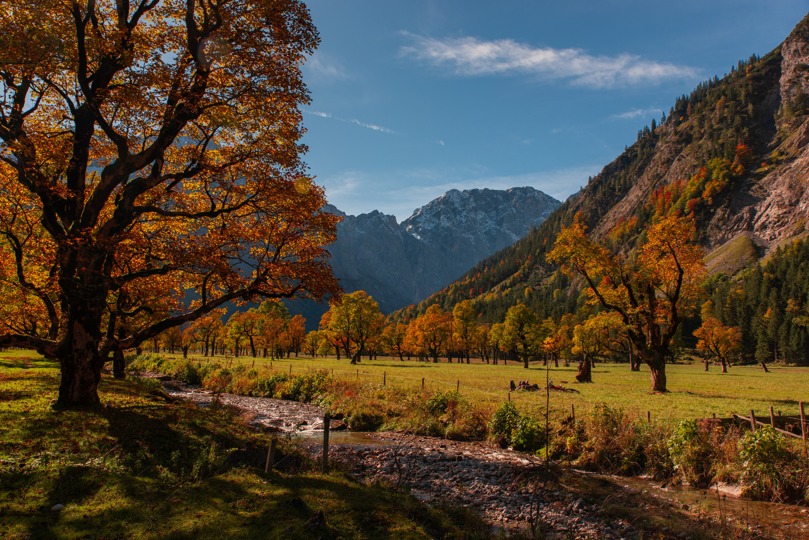 Herbststimmung 