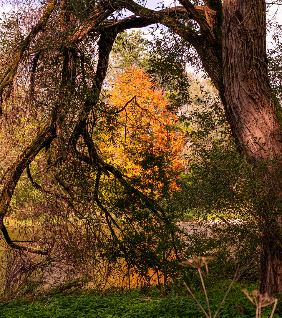 Herbststimmung